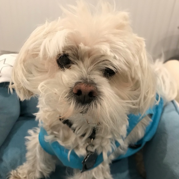 Meet your Posher, Fonda - Picture 2 of 4